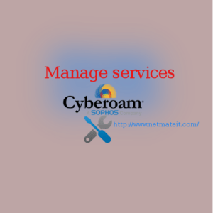 Cyberoam Firewall Standard Management Service