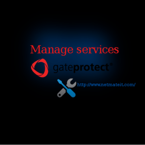 Gateprotect Firewall Standard Management Service in Dubai