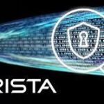 Arista Network Visibility Observability Solutions